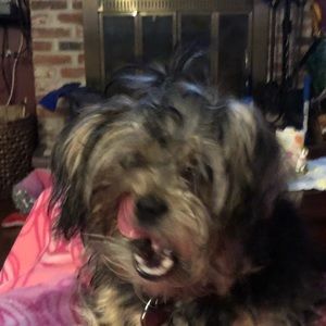 Meet your Posher, Zach